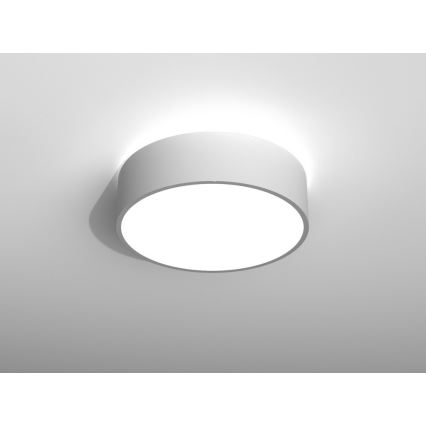 Immax NEO RONDATE - LED Fernbedienbare Deckenleuchte LED/25W/230V