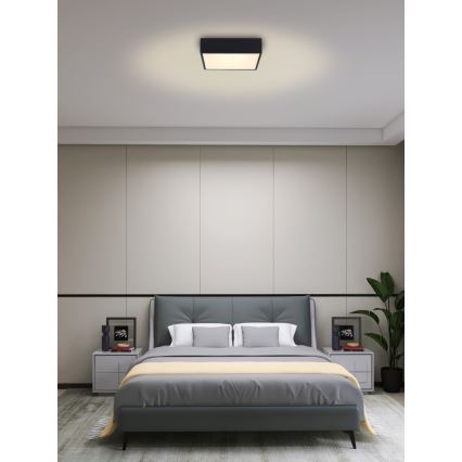 Immax NEO 07237L - Dimmbare LED-Deckenleuchte CANTO LED/22W/230V schwarz Tuya + Fernbedienung