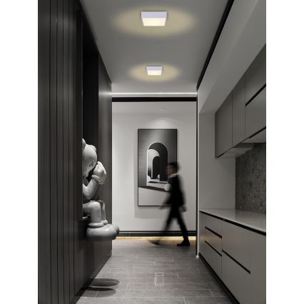 Immax NEO 07238L - Dimmbare LED-Deckenleuchte CANTO LED/22W/230V weiß Tuya + Fernbedienung