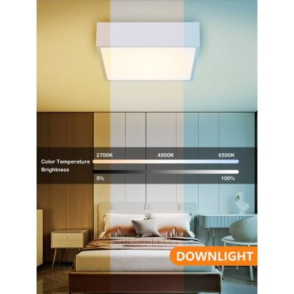 Immax NEO 07238L - Dimmbare LED-Deckenleuchte CANTO LED/22W/230V weiß Tuya + Fernbedienung