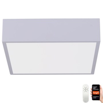 Immax NEO 07238L - Dimmbare LED-Deckenleuchte CANTO LED/22W/230V weiß Tuya + Fernbedienung