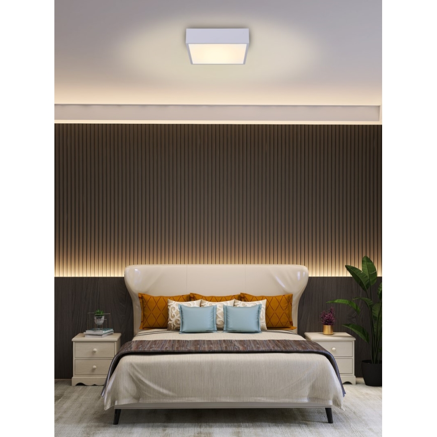 Immax NEO 07238L - LED dimmbares Deckenleuchte CANTO LED/22W/230V weiß Tuya + Fernbedienung