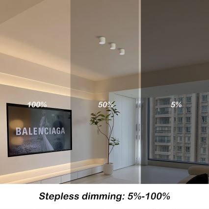 Immax NEO 07241L - LED dimmbares Deckenleuchte RONDATE LED/18W/230V 11,5cm Wi-Fi Tuya