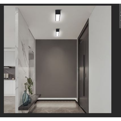 Immax NEO 07254L - Dimmbare LED-Deckenleuchte NEO LITE LUNGO LED/20W/230V 3000-6000K Wi-Fi Tuya schwarz + Fernbedienung