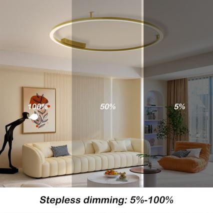 Immax NEO 07290-120G - LED+CCT Dimmbare Deckenleuchte FINO, 55 W, 230 V, 2700–6500 K, Tuya, Ø 120 cm + Fernbedienung