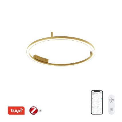 Immax NEO 07291-80G - LED+CCT dimmbare Deckenleuchte FINO LED/55W/230V 2700–6500K Tuya Ø 80 cm + Fernbedienung