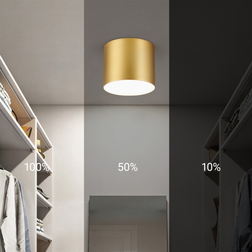 Immax NEO 07317L - dimmbare LED-Deckenleuchte RONDATE, 18 W, 230 V, Ø 11,5 cm, Tuya Wi‑Fi, goldfarben