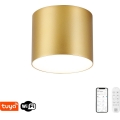 Immax NEO 07317L - dimmbare LED-Deckenleuchte RONDATE LED/18 W/230 V Ø 11,5 cm Wi-Fi Tuya goldfarben