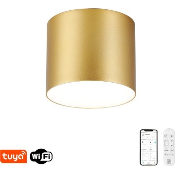 Immax NEO 07317L - dimmbare LED-Deckenleuchte RONDATE LED/18 W/230 V Ø 11,5 cm Wi-Fi Tuya goldfarben