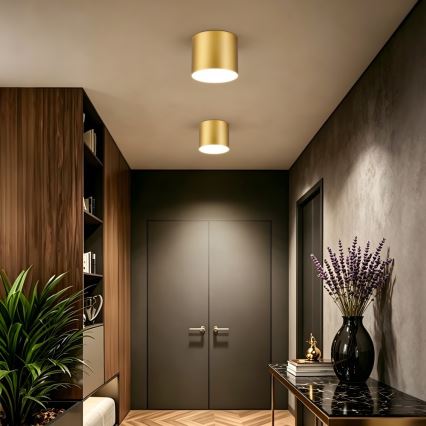 Immax NEO 07318L - LED dimmbare Deckenleuchte RONDATE LED/32W/230V Ø 16,5 cm Wi‑Fi Tuya goldfarben