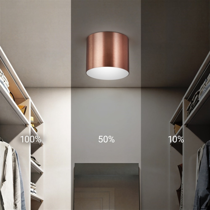 Immax NEO 07319L - RONDATE dimmbare LED-Deckenleuchte LED/18W/230V Ø 11,5 cm, Wi‑Fi (Tuya), Roségold