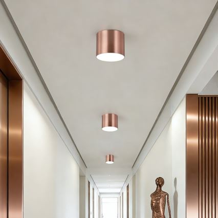 Immax NEO 07319L - dimmbare LED-Deckenleuchte RONDATE LED/18W/230V Ø 11,5 cm Wi-Fi Tuya Roségold
