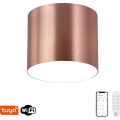 Immax NEO 07320L - RONDATE, dimmbare LED-Deckenleuchte LED/32W/230V, Ø 16,5 cm, Wi‑Fi (Tuya), Roségold