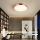 Immax NEO 07321L - dimmbare LED-Deckenleuchte NEO LITE SEMPLICI LED/36W/230V Ø 40 cm kupferfarben + Fernbedienung