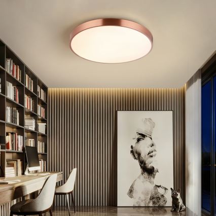 Immax NEO 07322L - LED-dimmbare Deckenleuchte NEO LITE SEMPLICI LED/60W/230V, Ø 60 cm, kupferfarben + Fernbedienung