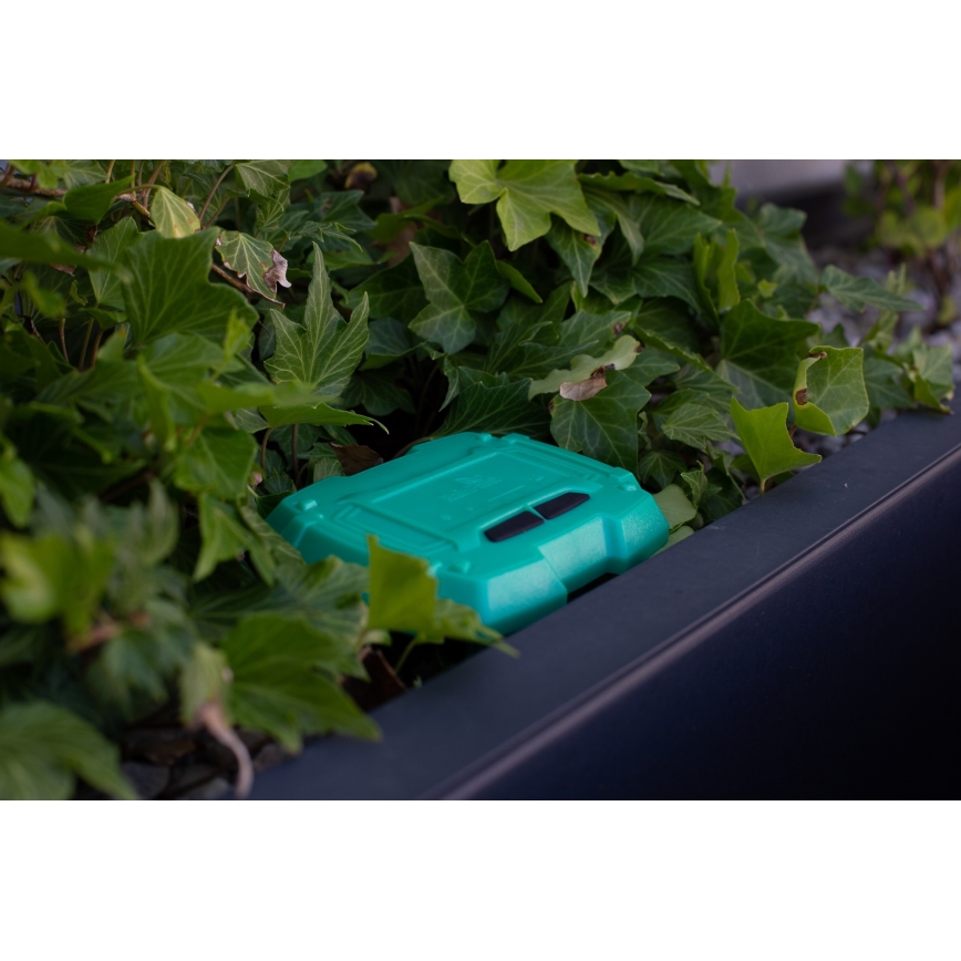 Immax NEO 07509L - Bodenfeuchtigkeits- und Temperatursensor NEO LITE 3xAAA IP65