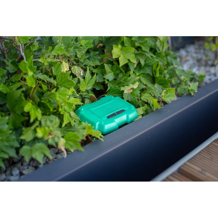 Immax NEO 07509L - Bodenfeuchtigkeits- und Temperatursensor NEO LITE 3xAAA IP65