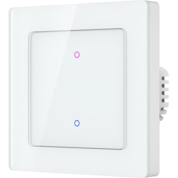 Immax NEO 07550L - SMART 2-Tasten-Schalter 230V