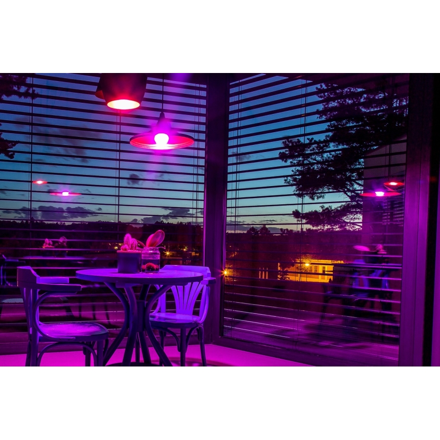 Immax NEO 07745CDO - Set 3x dimmbare LED-Lampen RGB+CCT E14/6W/230V Wi-Fi + Fernbedienung
