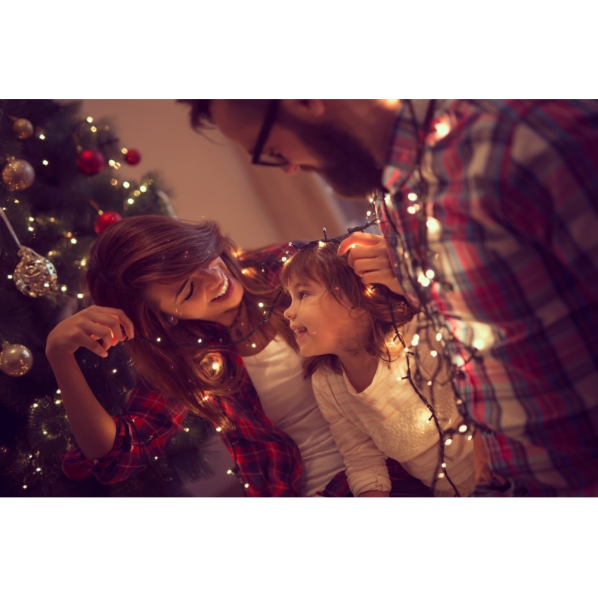 Immax NEO 07756L - LED dimmbare Außen-Lichterkette NEO LITE 400xLED/10 Funktionen 43m IP44 Wi-Fi Tuya mehrfarbig