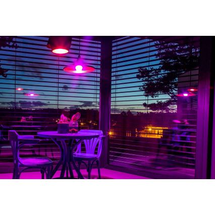 Immax NEO 07794CDO - 3er-Set dimmbare LED-Lampen RGB+CCT E27/14W/230V 2700K–6500K Tuya Wi-Fi + Fernbedienung