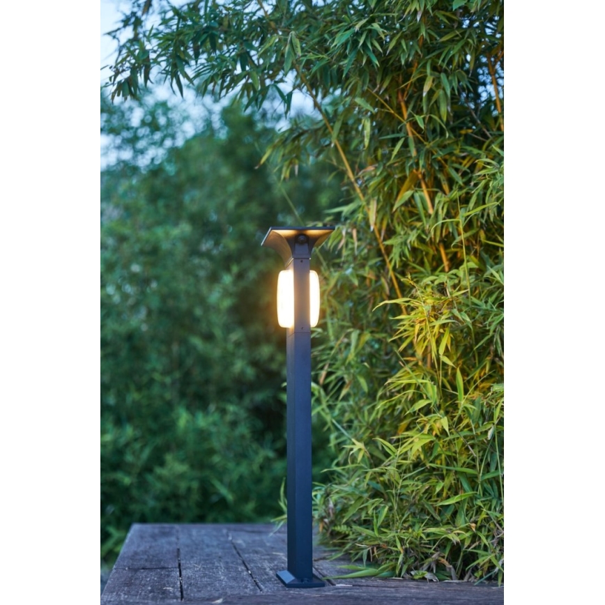 Immax NEO 07904L - LED RGB+CW/W Dimmbares Solarlicht ANEL LED/2W/5V IP54 Tuya 2000 mAh