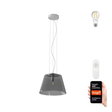 Immax NEO - Dimmbare LED Hängeleuchte CONO 1xE27/8,5W/230V 32 cm + Fernbedienung Tuya