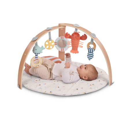Ingenuity - Baby-Spieldecke HARBOR HEAVEN