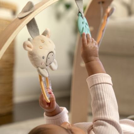 Ingenuity - Baby-Spielmatte ELEPHANT MARCH