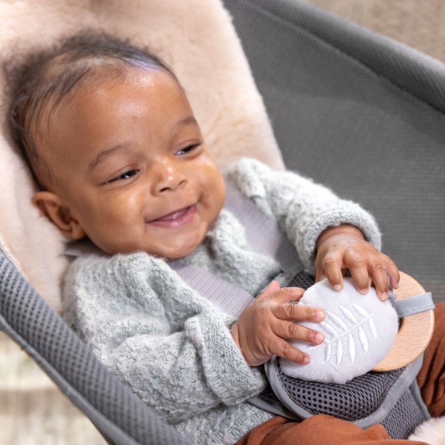 Ingenuity - Kinderwippe mit Vibration und Melodie EVERY SEASON WESLEY 3xC grau