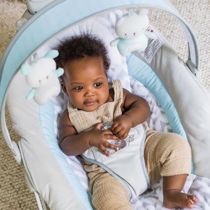 Ingenuity - Babywippe mit Vibration und Melodie RAYLAN 3xLR14