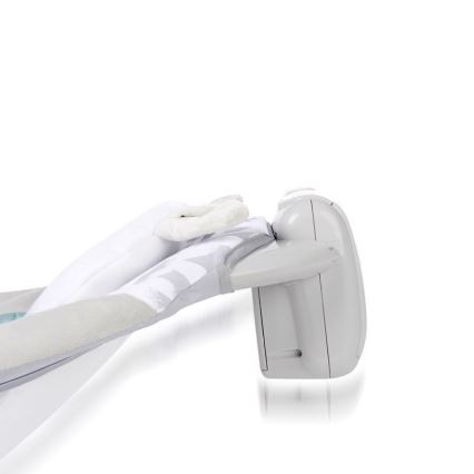 Ingenuity - Babywippe mit Vibration und Melodie RAYLAN 3xLR14