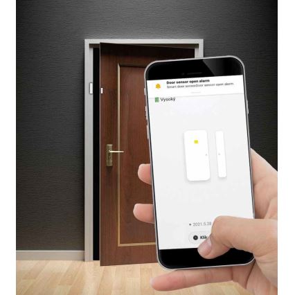 Intelligenter Fenster- und Türsensor 2xAAA Wi-fi Tuya