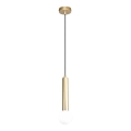ITALUX - Hängeleuchte an Stahlseil FILANO 1xG9/5W/230V goldfarben