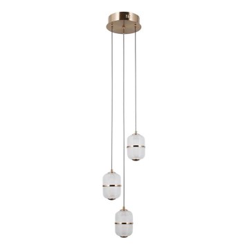 ITALUX - LED-Hängeleuchte ALANI an Kabel 3xLED/5W/230V 3000K goldfarben