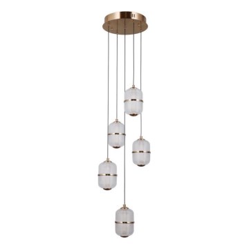 ITALUX - LED-Hängeleuchte an Kabel ALANI 5xLED/5,6W/230V 3000K goldfarben