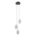 ITALUX - LED-Pendelleuchte an Stahlseil ALANI 3xLED/5W/230V 3000K schwarz/gold
