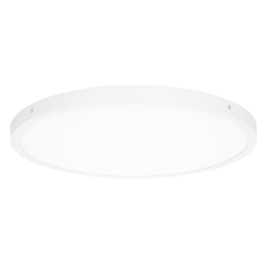 ITALUX - LED-Deckenleuchte PELARO LED/36W/230V 4000K weiß