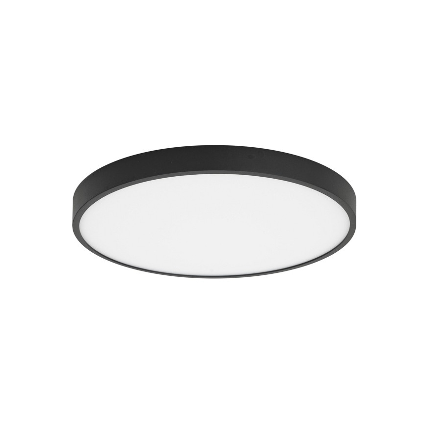 ITALUX - LED-Deckenleuchte RIBERIO LED/30W/230V 4000K schwarz