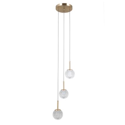 ITALUX - Pendelleuchte PADRI mit Kabelabhängung 3xG9/5W/230V goldfarben