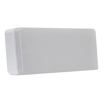 Iverlux s-28066 - LED-Notleuchte ESERA LED/4,8W/230V IP44