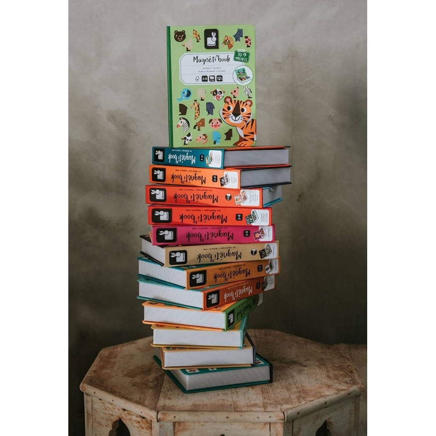 Janod - Magnetisches interaktives Set MAGNETIBOOK Verkehrsmittel