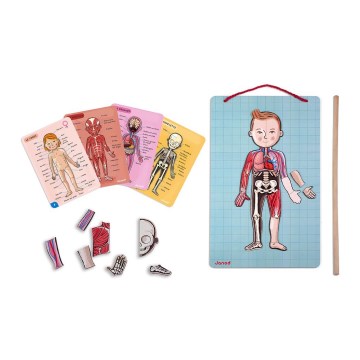 Janod - Magnetisches Puzzle BODYMAGNET menschlicher Körper