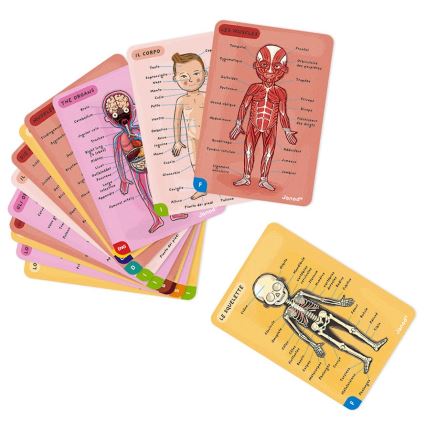 Janod - Magnetisches Puzzle BODYMAGNET menschlicher Körper