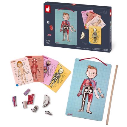Janod - Magnetisches Puzzle BODYMAGNET menschlicher Körper
