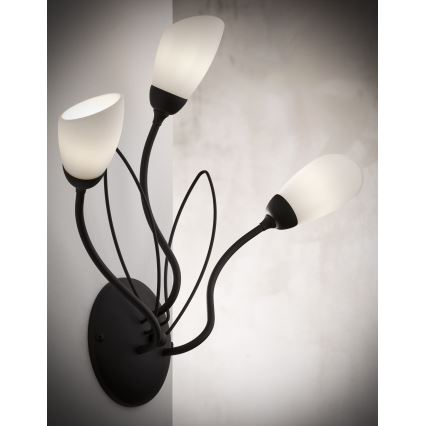 Jupiter 2059 - Wandleuchte GLORIOSA 3xG9/14W/230V schwarz