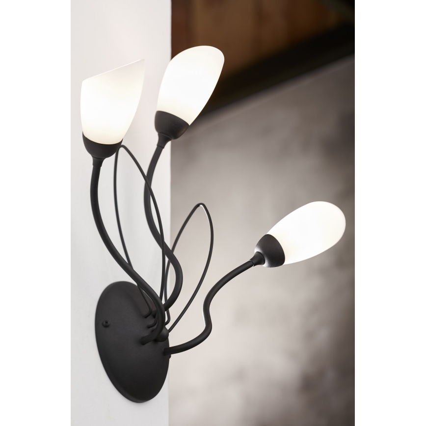 Jupiter 2059 - Wandleuchte GLORIOSA 3xG9/14W/230V schwarz