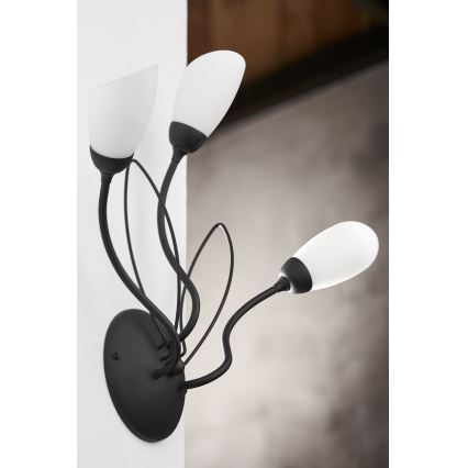 Jupiter 2059 - Wandleuchte GLORIOSA 3xG9/14W/230V schwarz