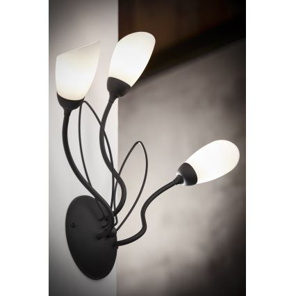 Jupiter 2059 - Wandleuchte GLORIOSA 3xG9/14W/230V schwarz