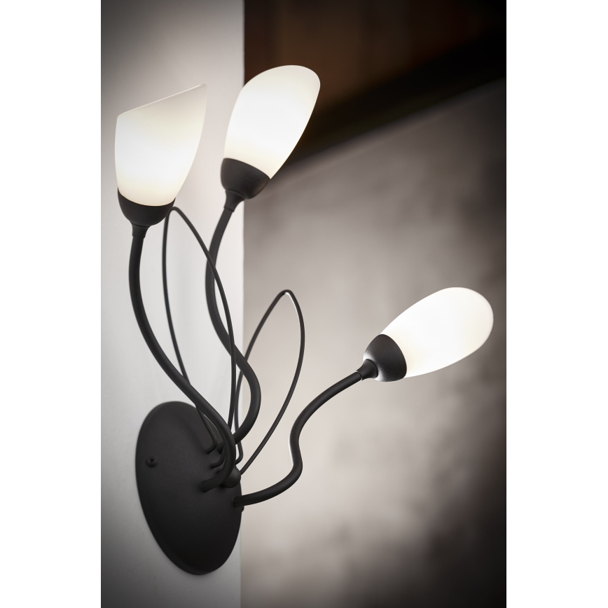 Jupiter 2059 - Wandleuchte GLORIOSA 3xG9/14W/230V schwarz